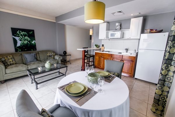 Apartamento Sencillo #205 - Imagen 2