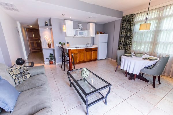 Apartamento Sencillo #205 - Imagen 8