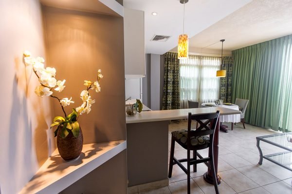 Apartamento Sencillo #205 - Imagen 4